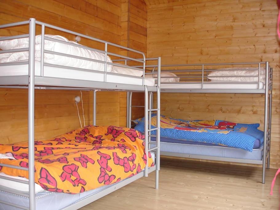 Grand Valtin : Chalet Ecolo 4 Etoiles 14 Personnes Ban-sur-Meurthe-Clefcy エクステリア 写真